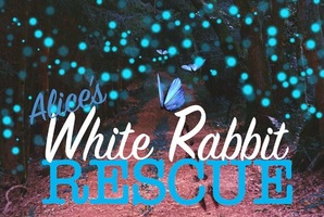 Квест Alice's White Rabbit Rescue