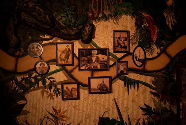 Der geheime Dschungel (Plan B Escape Game) Escape Room