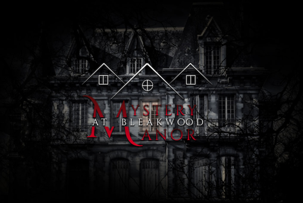 Mystery at Bleakwood manor