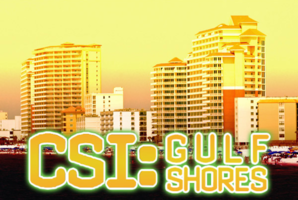 Квест CSI: Gulf Shores