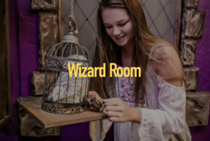 Квест Wizard Room