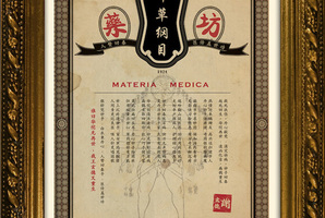Квест Materia Medica