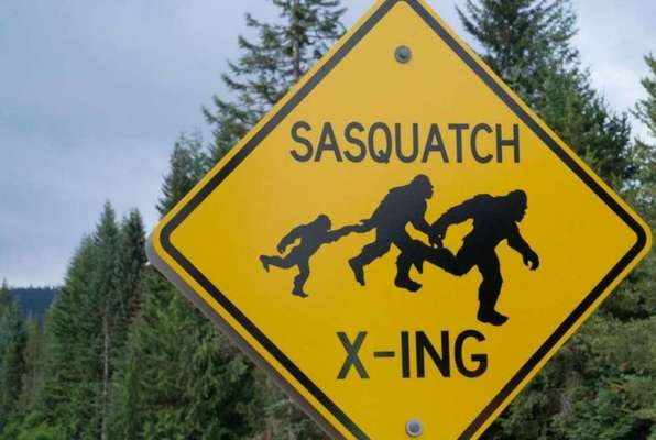 Legend of Sasquatch