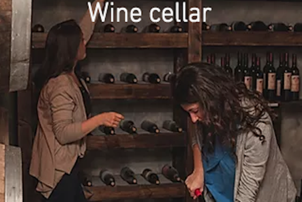 Wine Cellar (Box Game) Escape Room
