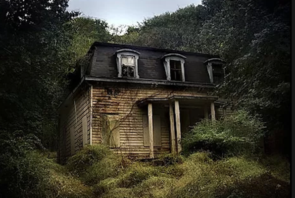 House in the Woods (Pacifica Escape Zone) Escape Room