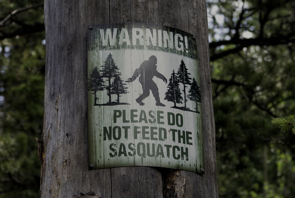 SOS: Sasquatch on Site