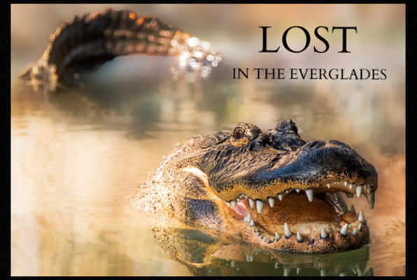 Lost in the Everglades (Xtreme Escape Game) Escape Room