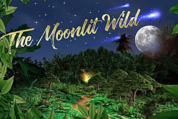 The Moonlit Wild