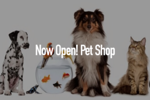 Квест Pet Shop