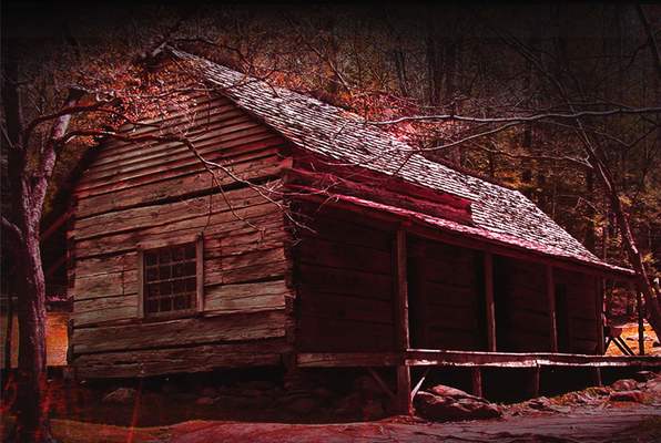 Cabin In The Woods (Mystery Rooms Ludhiana) Escape Room
