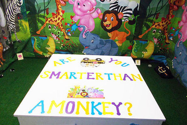 Are You Smarter than a Monkey?