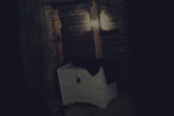 Tajemnica Leśnej Chaty (Unlocked) Escape Room