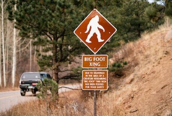 Bigfoot Encounter
