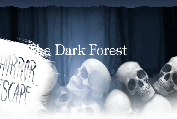The Dark Forest (Escape Stories) Escape Room