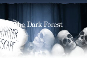 Квест The Dark Forest