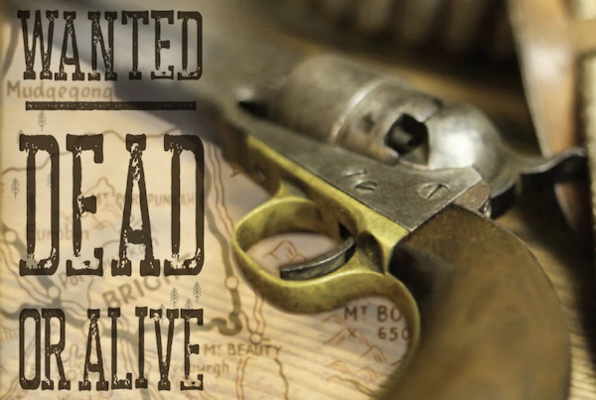 WANTED: Dead or Alive