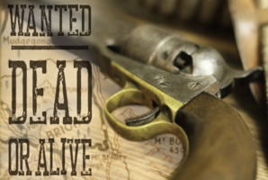 Квест WANTED: Dead or Alive