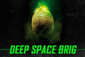 Квест Deep Space Brig