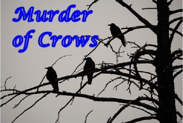 Murder of Crows (Keynundrum) Escape Room