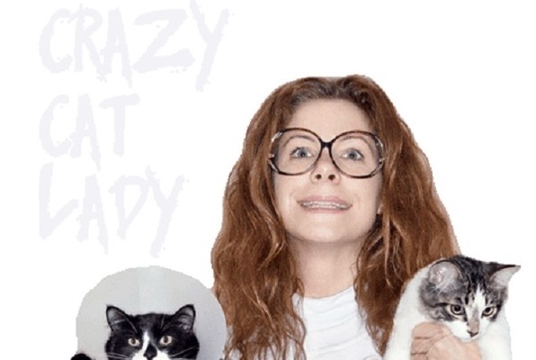 Escape Room Crazy Cat Lady By Great Room Escape In Columbus