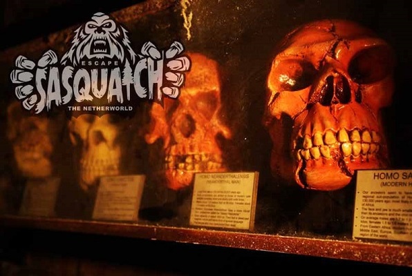 Sasquatch (Escape The Netherworld) Escape Room