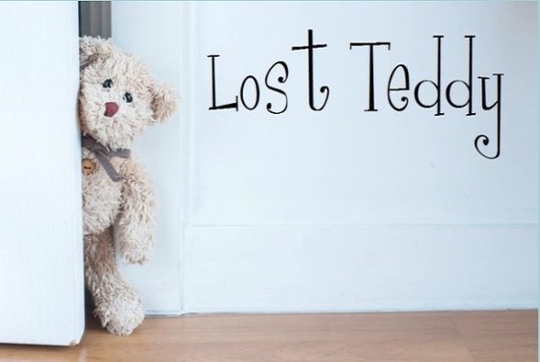 Lost Teddy (Expedition Escape) Escape Room