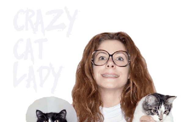 Escape Room The Crazy Cat Lady By Elusive Escape Rooms In Wisconsin Dells