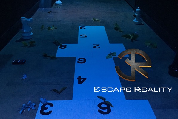 Down the Rabbit Hole (Escape Reality) Escape Room