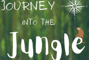 Квест Journey into the Jungle