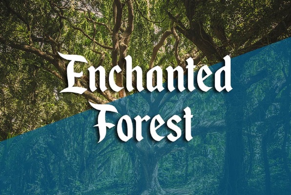 Escape Room Enchanted Forest By Zero Hour Escape Rooms In Duluth