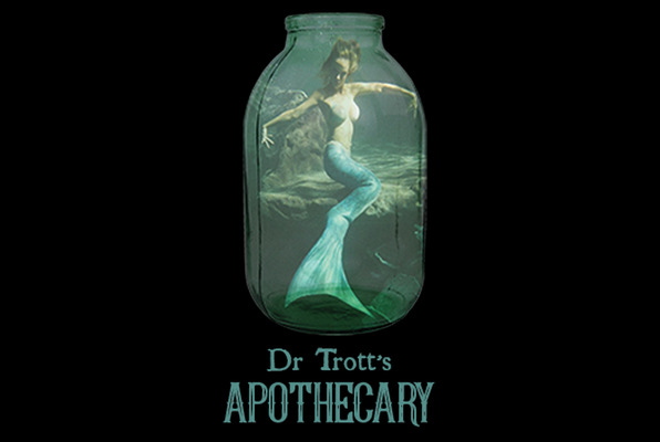 Dr. Trott's Apothecary (Time Traveler Escape Games) Escape Room