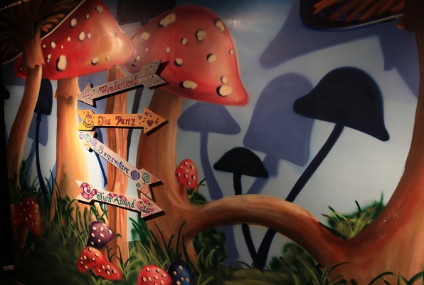 Alice in Wonderland (MindEscape) Escape Room